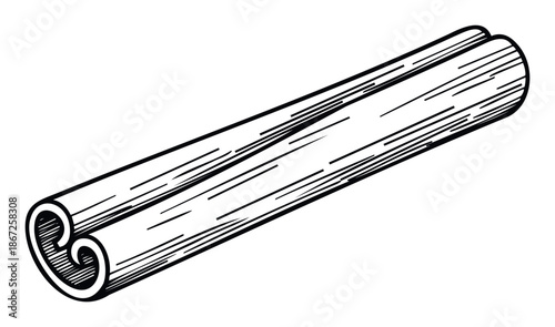 A hand drawn illustration of a cinnamon stick depicting its natural rolled form suitable for food packaging labels cooking recipe books or spice market advertisements