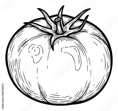 Fresh whole tomato line drawing capturing natural organic produce for use in culinary themed projects, grocery advertisements, or healthy eating publications