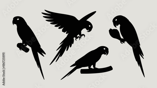a striking silhouette depiction of four parrots in various poses against a pale gray background showcasing avian beauty high quality professional detailed modern elegant stylish clean