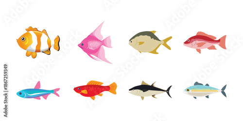 Colorful Cartoon Fish Set Vector Illustration. Diverse Aquarium Species Collection for Marine Life and Aquatic Themes