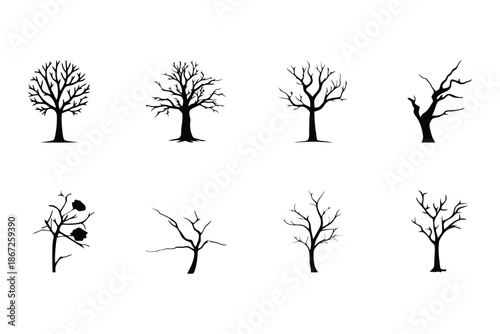 Diverse Bare Tree Silhouettes Set Leafless Winter, Dead Branches and Spooky Halloween Vector Icons