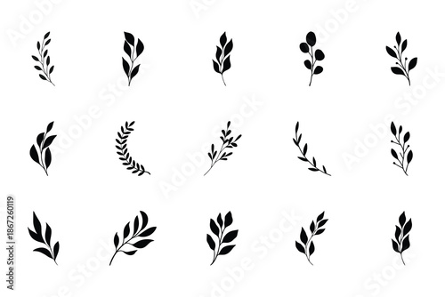 Minimalist Botanical Leaf and Branch Vector Set Elegant Nature Silhouettes Collection