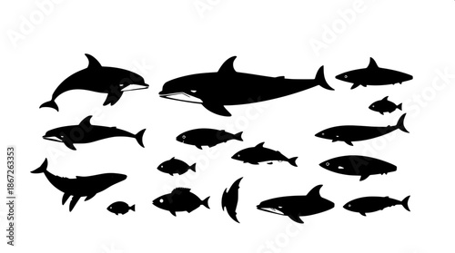 Ocean wildlife flat icons in a black silhouette style with intricate details, created as a vector illustration, featuring a marine theme with various sea creatures such as dolphins, whales, and fish, 