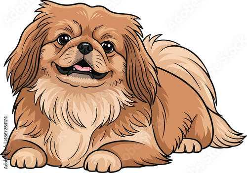 Pekingese dog lying down smiling cute facing front pose