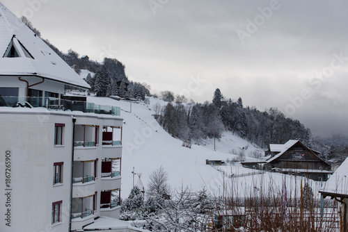 Scenic winter landscape fea...