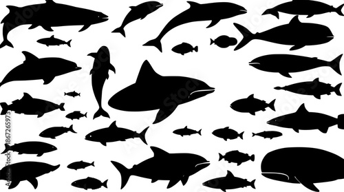 Marine life silhouette set consisting of various sea creatures such as dolphins, whales, and fish, depicted as bold black shapes with smooth flat edges, rendered in a flat vector illustration style, s