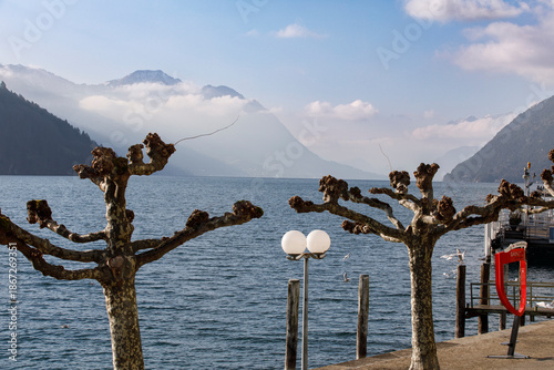Scenic view of a lake with ...