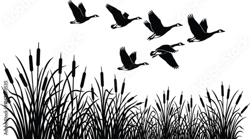 Black wild grass silhouettes bundle, cattail reed collection, meadow plant icons, botanical vector elements, fern leaf foliage, swamp vegetation, nature garden flora.