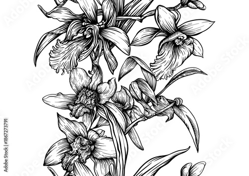 Wallpaper Mural Vanilla orchid seamless coloring page. Botanical outline with hand drawn vanilla flowers branches leaves and pods. Vintage decorative motif for printable kitchen dessert sweet food textile projects. Torontodigital.ca