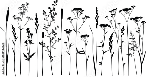 Black silhouette collection of wild field flowers, herbal meadow plants, and tall grass stems isolated on white background for design.