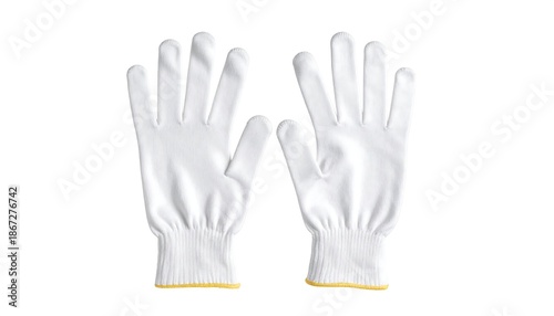 Wallpaper Mural Pair of clean, white gloves, perfect for protection Torontodigital.ca