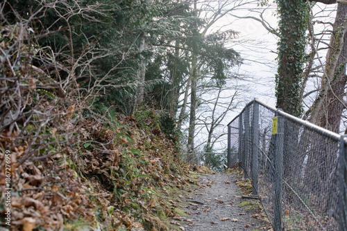 Scenic pathway alongside a ...