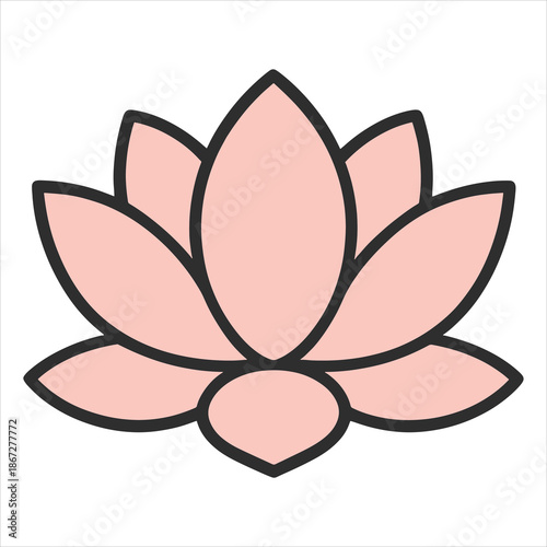 lotus flower vector illustration
