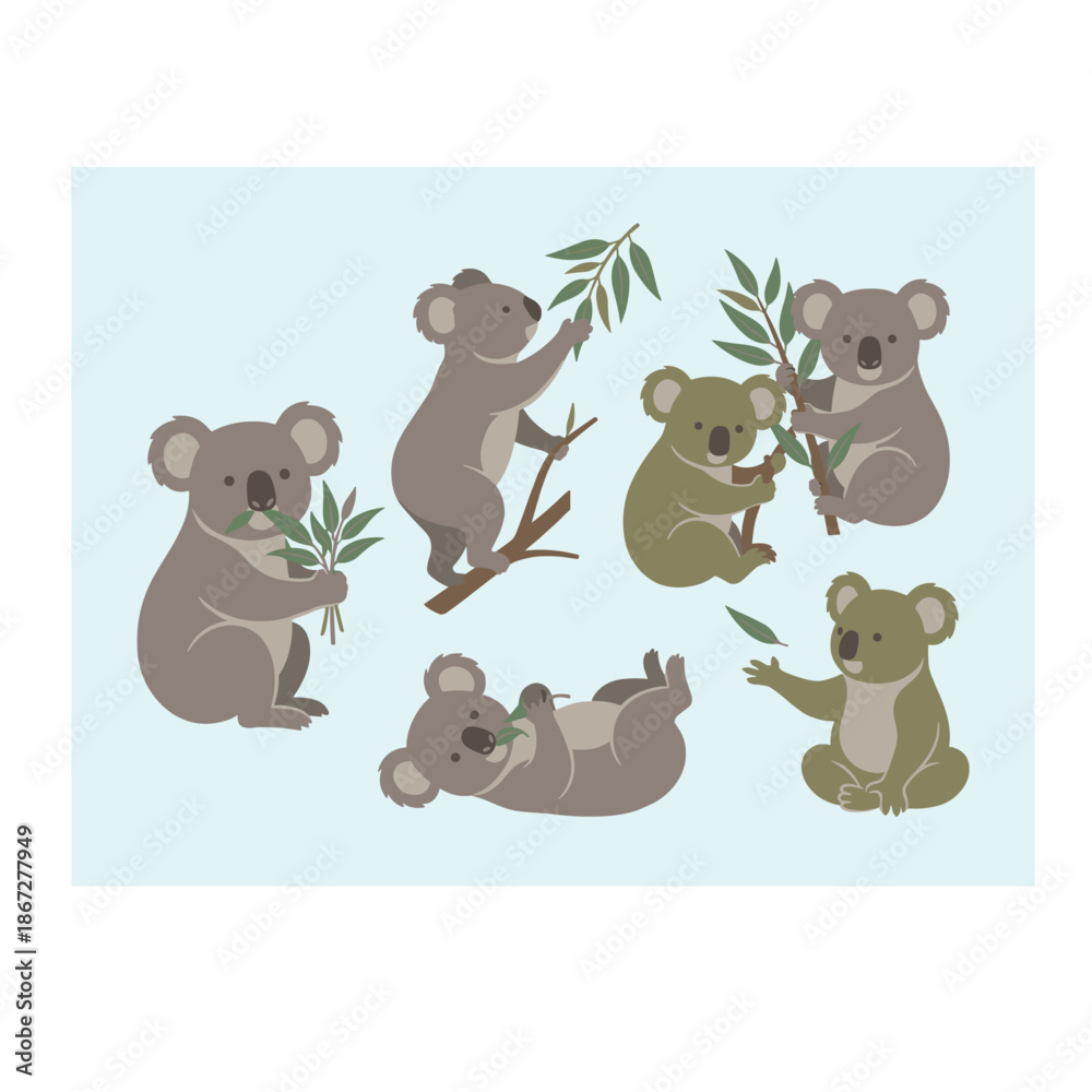 Obraz premium Koalas in various poses.
