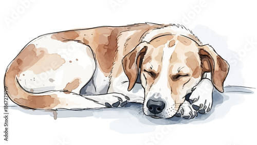 A peaceful watercolor illustration of a sleeping dog curled up.