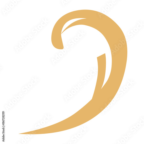 Golden Flourishes calligraphic vector