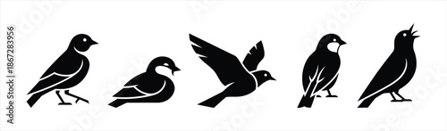 Collection of Silhouetted Birds in Various Poses