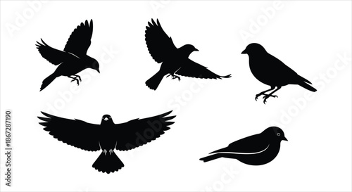 Silhouettes of five different birds in flight and perched