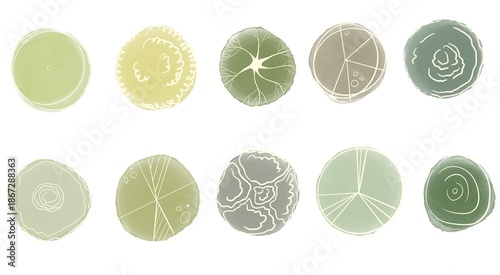 Set of watercolor tree top view elements for landscape plans and architectural layouts, hand-painted greenery for environment and garden design