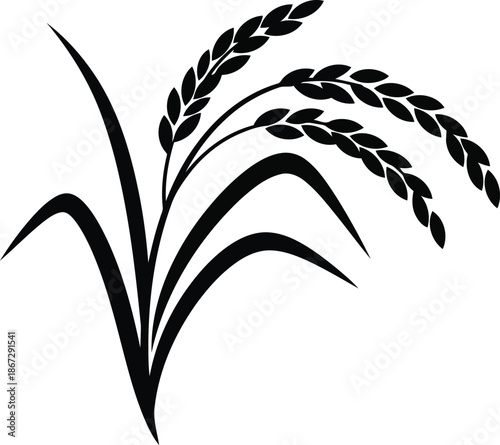 Black silhouette of rice stalks with grains on white background