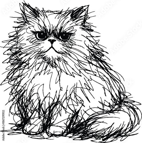 Hand drawn black and white vector of a grumpy looking long haired domestic cat scribble sketch