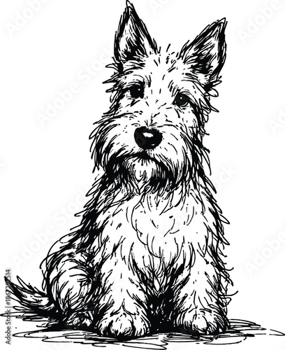 Hand Drawn Vector Sketch of a Scottish Terrier Dog Sitting Black and White