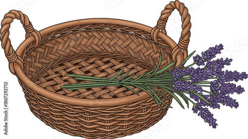 Wicker basket with lavender flowers illustration, rustic woven basket and fresh purple lavender bouquet, detailed botanical still life isolated on white background