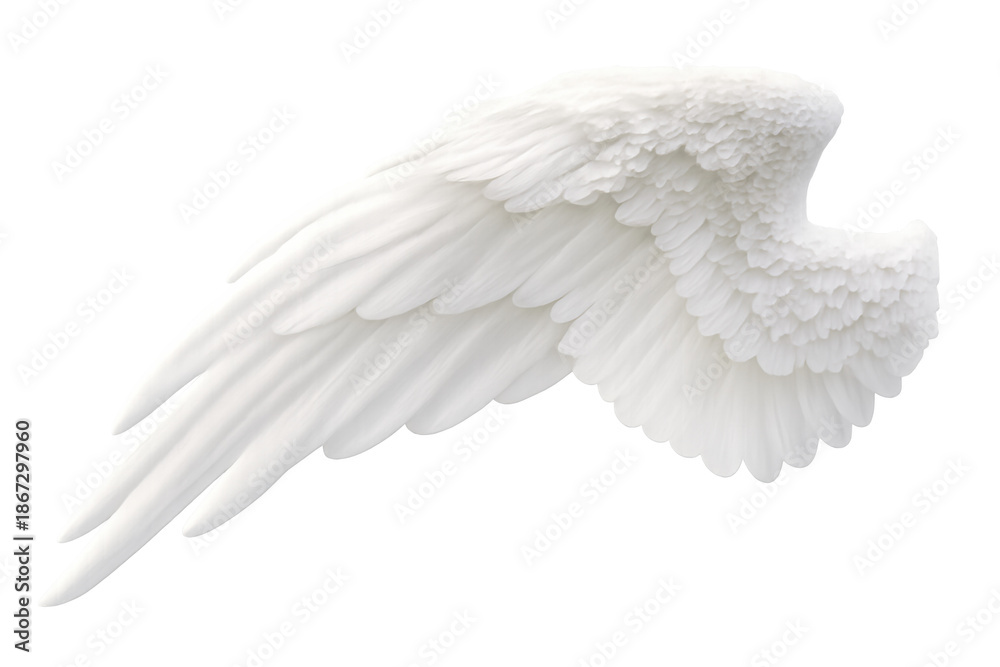 Fototapeta premium White angel wing isolated, representing spirituality, freedom, purity, and heavenly concepts, with a transparent background