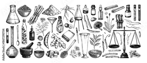 Vintage apothecary equipment set. Traditional medicine ingredient sketches. Laboratory glassware, herbs, roots, mushrooms hand drawn vector illustration NOT AI generated. 