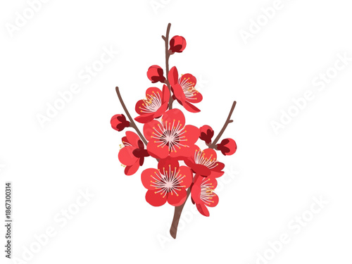 Illustration of a branch with vibrant red plum blossoms and buds on a white background