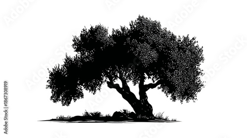 Dramatic black and white silhouette of a majestic, ancient tree with dense foliage, isolated on a clean white background.