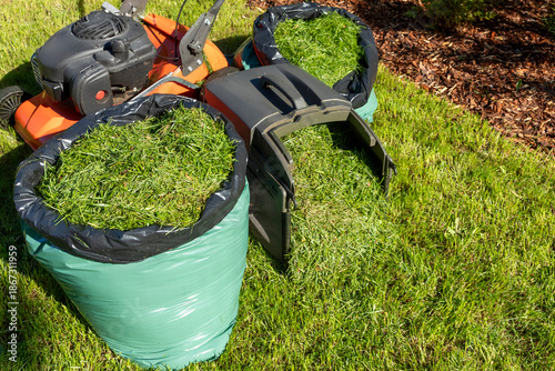 Fotografie Lawnmower on a sunny freshly mown lawn and full bag of freshly cut grass