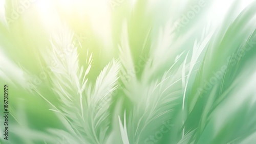 From winter chill to spring renewal a vibrant green landscape
