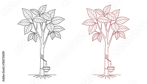 Hand drawn rubber tree with latex collecting in bowl in black and red isolated on transparent