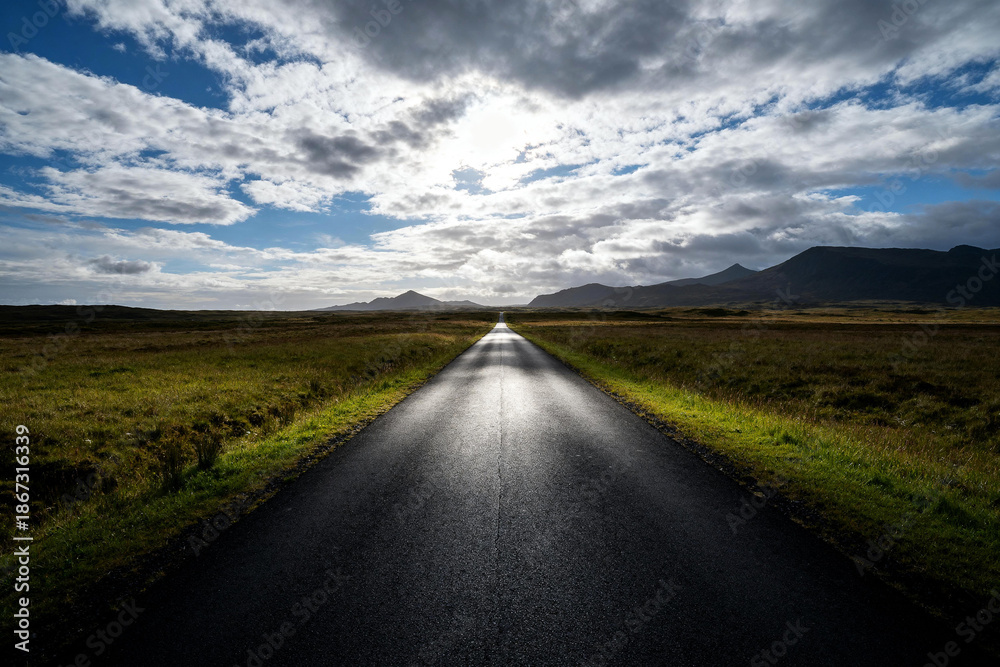 Fototapeta premium Long Asphalt Road Through Vast Grasslands