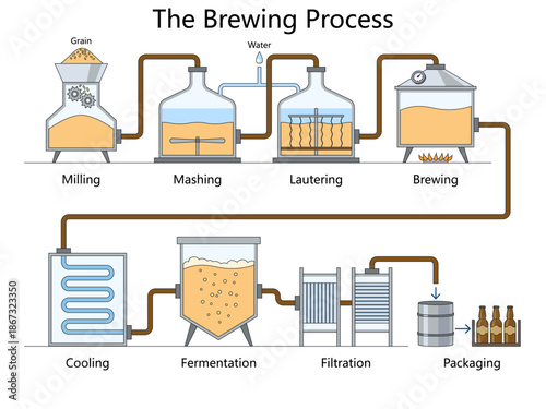 complete beer brewing process, from milling grain to packaging, showing each stage with equipment and flow diagram hand drawn schematic vector. Science educational illustration