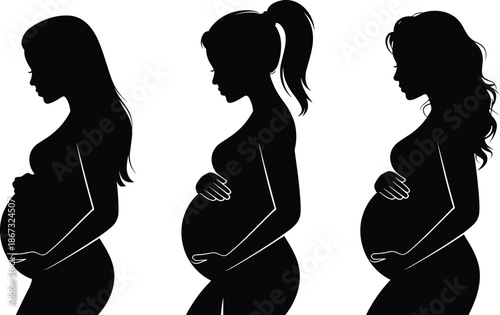 Pregnant woman silhouettes set showing maternity stages isolated on white background for pregnancy, motherhood, baby, healthcare, family, vector, illustration, graphic design