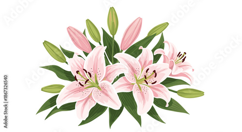Beautiful bouquet of blooming pink lilies with detailed petals and stamens, surrounded by lush green leaves and unopened buds, isolated on a white background.