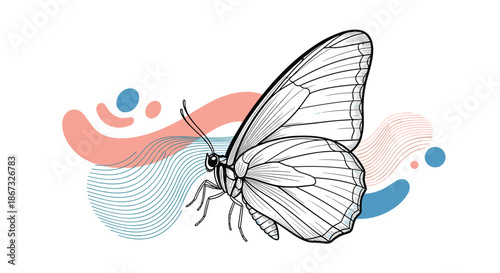 A beautiful black and white line art illustration of a butterfly, set against a modern background of abstract, colorful shapes and wavy lines for a contemporary feel.