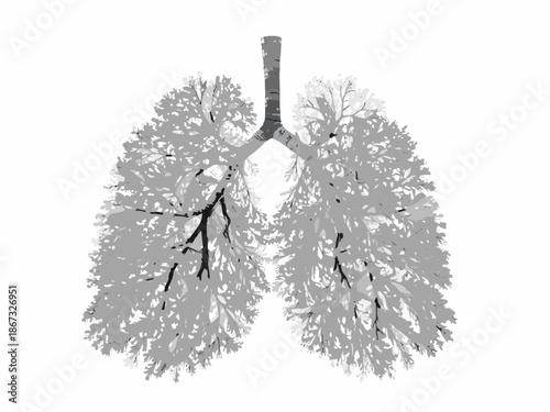 A tree s branches strikingly resemble the shape of human lungs in grayscale