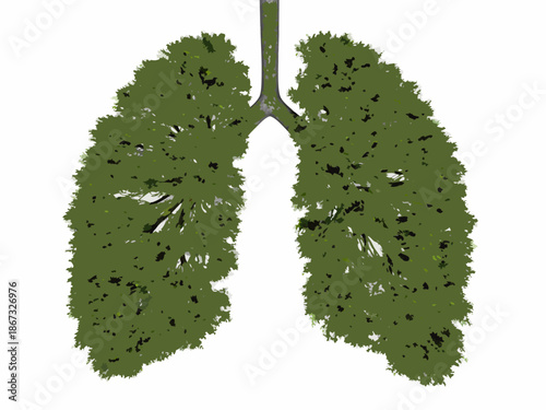Lungs shaped like trees representing breath nature and respiratory health