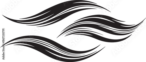 Abstract Black and White Wavy Lines Illustration Design