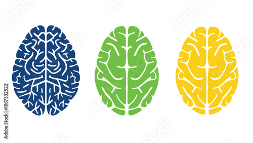 Three colorful stylized brains symbolizing diverse thoughts and ideas
