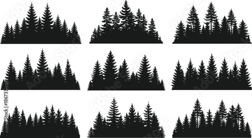Evergreen pine tree forest silhouettes collection, coniferous woodland timberline set for landscape design, nature outdoor scenery