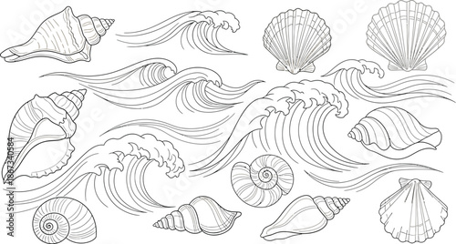 Collection of detailed hand drawn seashell and ocean wave illustrations perfect for crafting beautiful summer beach themed designs and decorations