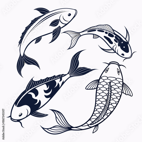 Three koi fish illustration