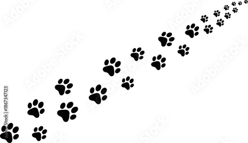 Trail of Paw Prints Leading Upwards