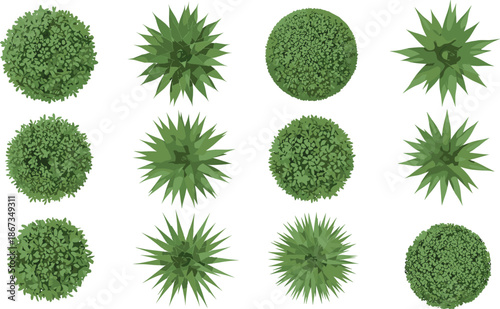 Top-down vector illustrations of various green plants and shrubs for garden layout, landscape design, and botanical planning visuals.