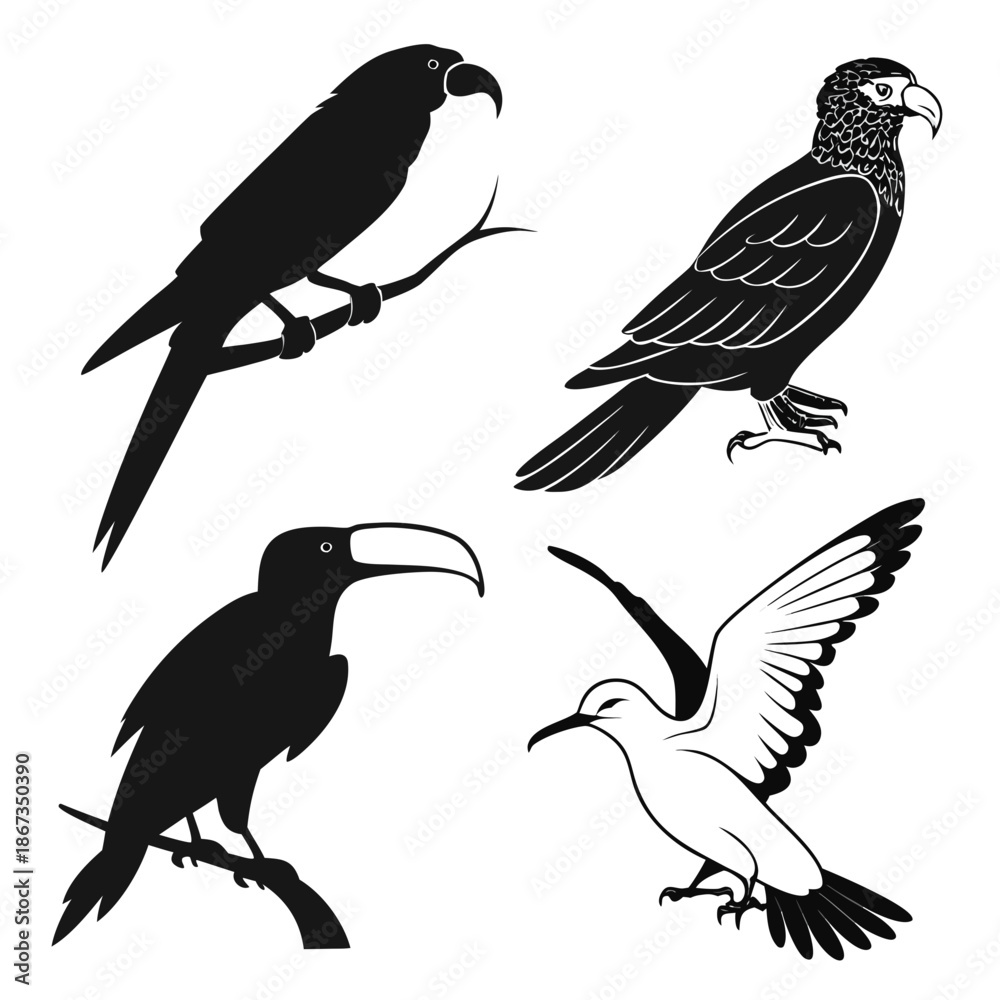 Obraz premium Silhouettes of various birds