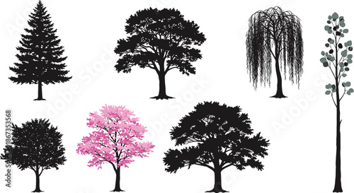 Colorful tree illustrations showing diverse species including conifer, broadleaf, willow, flowering, and slender trees, nature, ecology, landscape, environment design